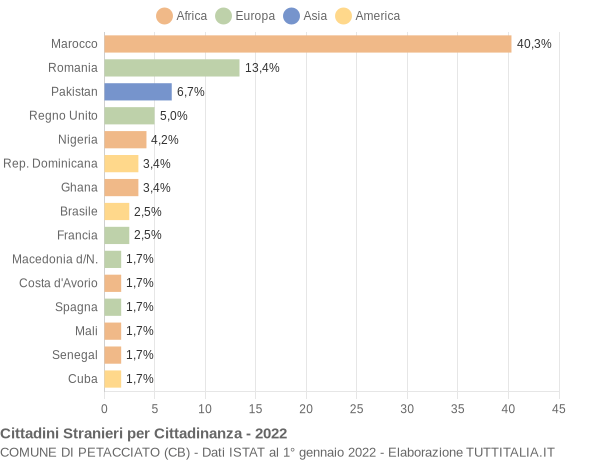 Grafico cittadinanza stranieri - Petacciato 2022