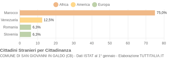 Grafico cittadinanza stranieri - San Giovanni in Galdo 2008