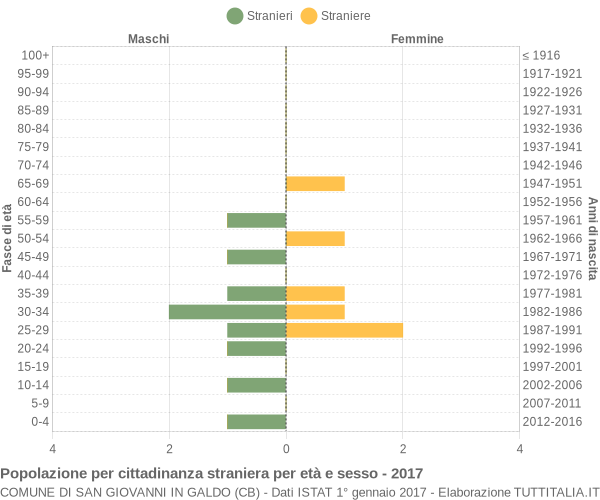 Grafico cittadini stranieri - San Giovanni in Galdo 2017