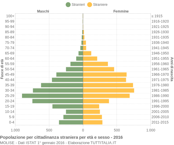 Grafico cittadini stranieri - 2016