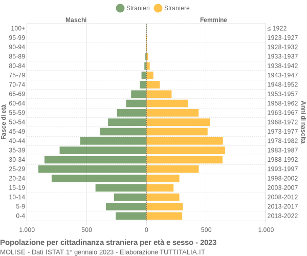 Grafico cittadini stranieri - 2023