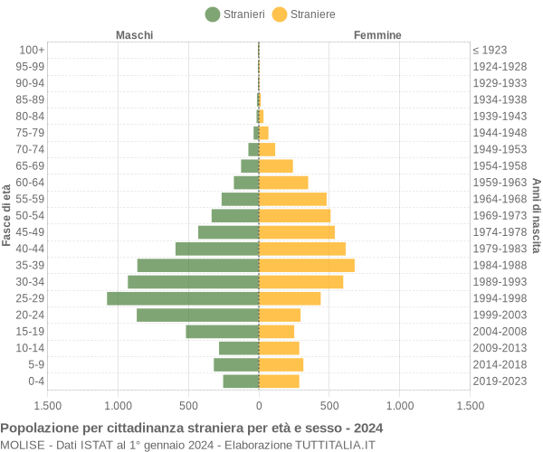 Grafico cittadini stranieri - 2024