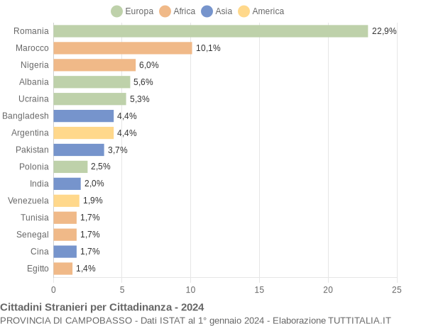 Grafico cittadinanza stranieri - 2024