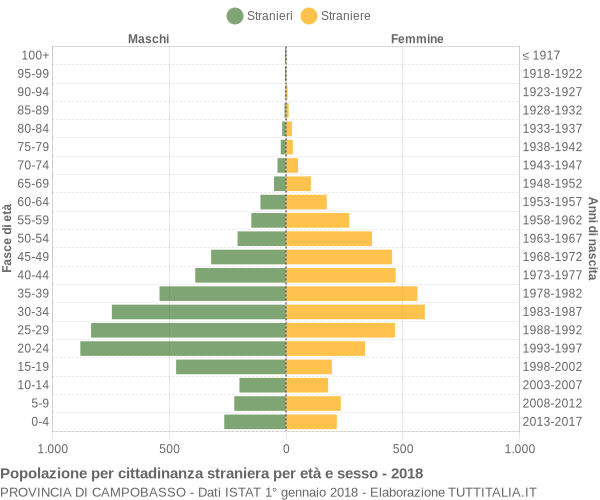 Grafico cittadini stranieri - 2018