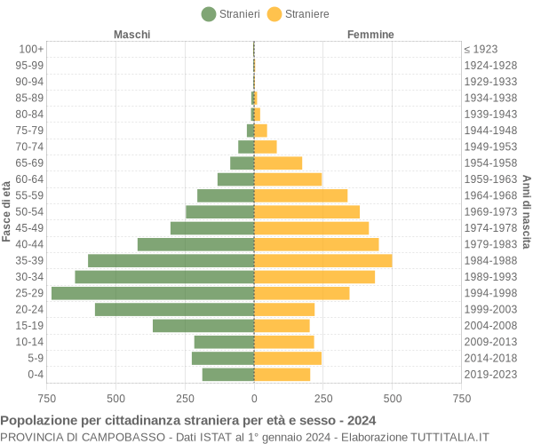 Grafico cittadini stranieri - 2024