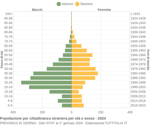 Grafico cittadini stranieri - 2024