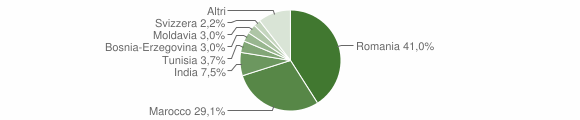 Grafico cittadinanza stranieri - Bianzè 2009