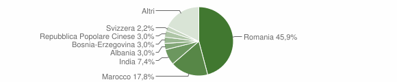 Grafico cittadinanza stranieri - Bianzè 2011