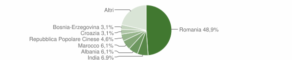 Grafico cittadinanza stranieri - Bianzè 2013