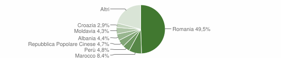 Grafico cittadinanza stranieri - Collegno 2013