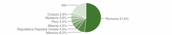 Grafico cittadinanza stranieri - Collegno 2014