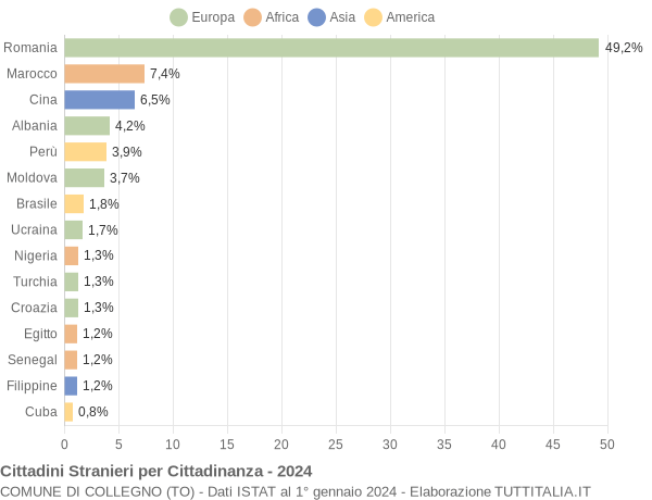 Grafico cittadinanza stranieri - Collegno 2024