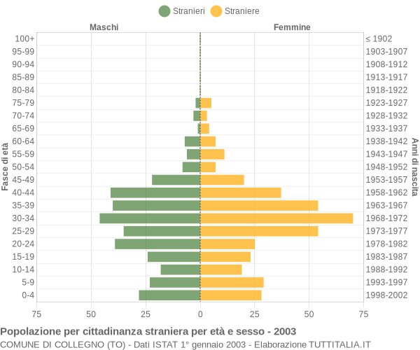 Grafico cittadini stranieri - Collegno 2003