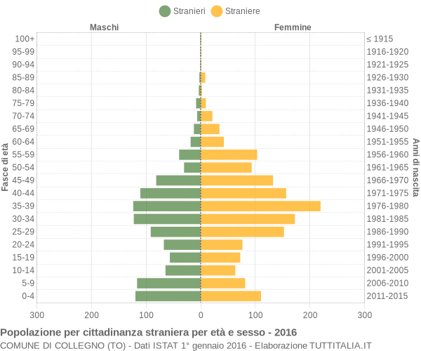 Grafico cittadini stranieri - Collegno 2016