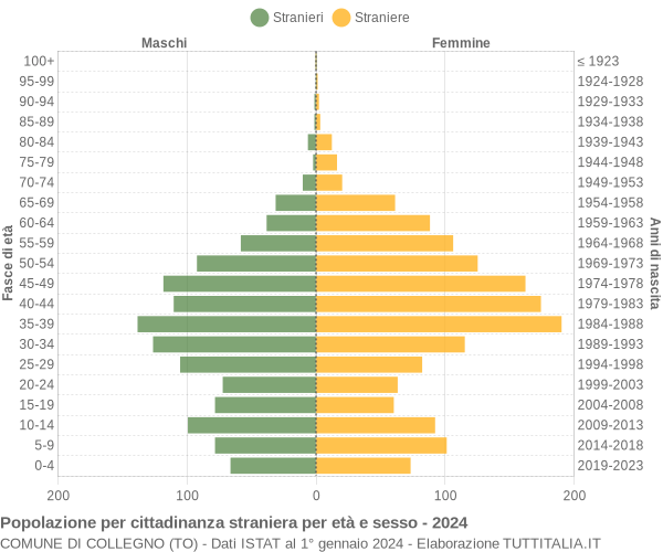 Grafico cittadini stranieri - Collegno 2024