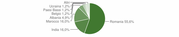 Grafico cittadinanza stranieri - Lombriasco 2012