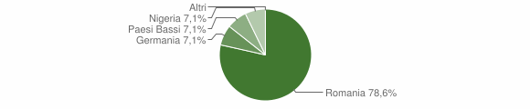 Grafico cittadinanza stranieri - Montacuto 2010