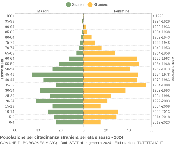 Grafico cittadini stranieri - Borgosesia 2024