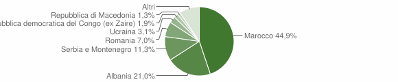 Grafico cittadinanza stranieri - Ceva 2007