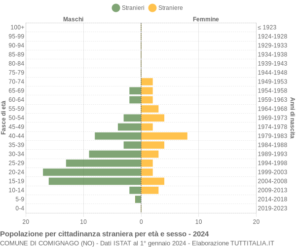 Grafico cittadini stranieri - Comignago 2024