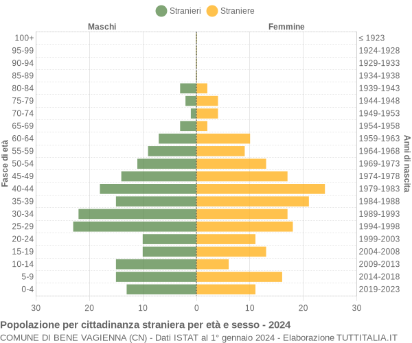 Grafico cittadini stranieri - Bene Vagienna 2024