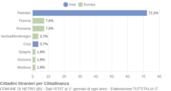 Grafico cittadinanza stranieri - Netro 2005