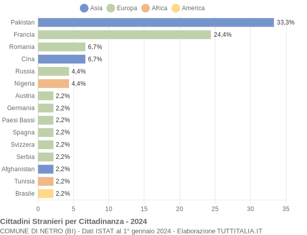 Grafico cittadinanza stranieri - Netro 2024