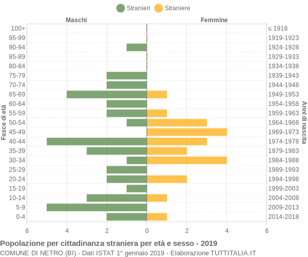 Grafico cittadini stranieri - Netro 2019