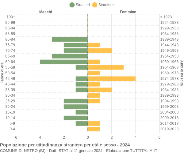 Grafico cittadini stranieri - Netro 2024