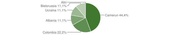 Grafico cittadinanza stranieri - Viù 2015