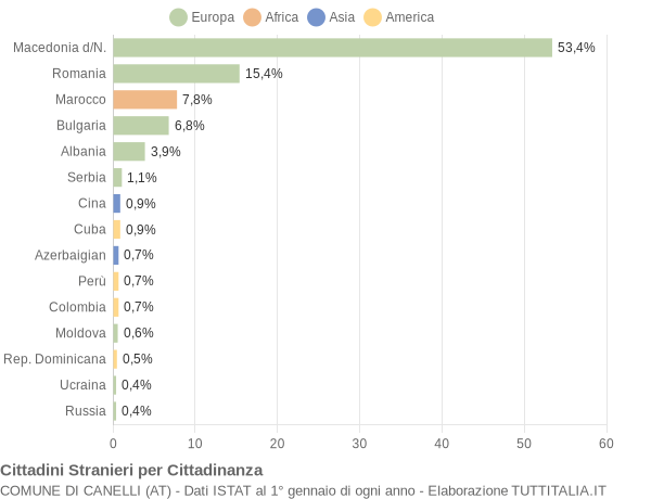 Grafico cittadinanza stranieri - Canelli 2011