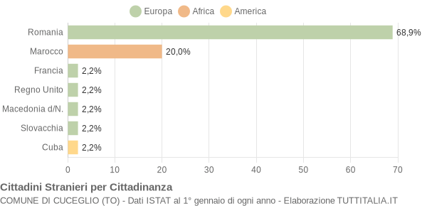 Grafico cittadinanza stranieri - Cuceglio 2005