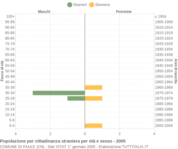 Grafico cittadini stranieri - Faule 2005