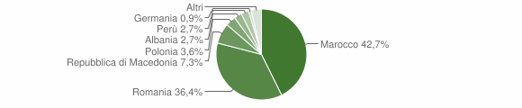 Grafico cittadinanza stranieri - Masio 2008