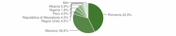 Grafico cittadinanza stranieri - Masio 2010