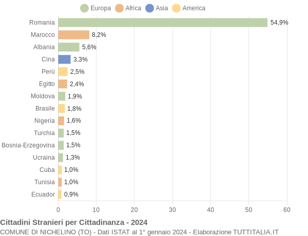 Grafico cittadinanza stranieri - Nichelino 2024