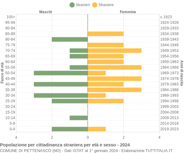 Grafico cittadini stranieri - Pettenasco 2024