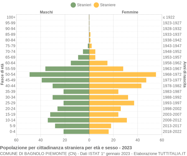 Grafico cittadini stranieri - Bagnolo Piemonte 2023