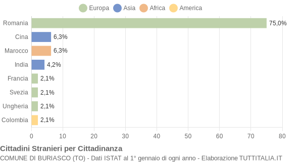 Grafico cittadinanza stranieri - Buriasco 2011