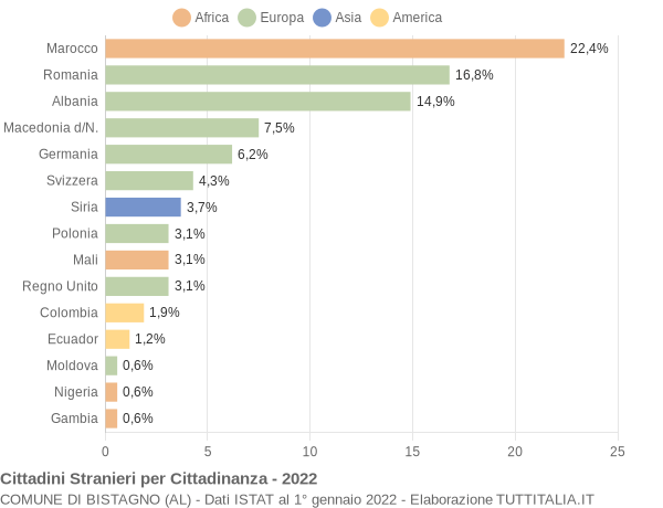 Grafico cittadinanza stranieri - Bistagno 2022