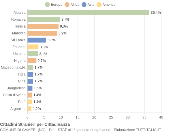 Grafico cittadinanza stranieri - Cameri 2008