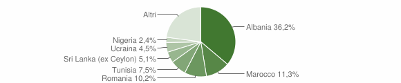 Grafico cittadinanza stranieri - Cameri 2010
