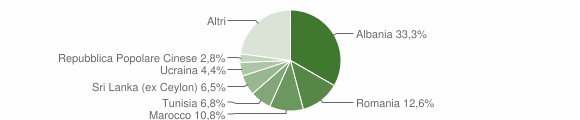 Grafico cittadinanza stranieri - Cameri 2012