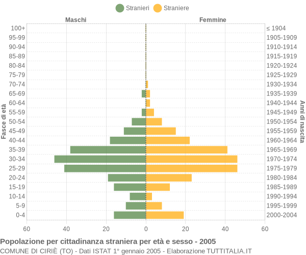 Grafico cittadini stranieri - Ciriè 2005