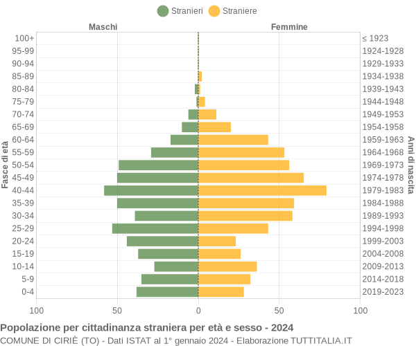 Grafico cittadini stranieri - Ciriè 2024