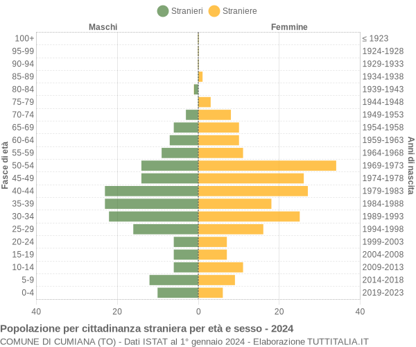 Grafico cittadini stranieri - Cumiana 2024