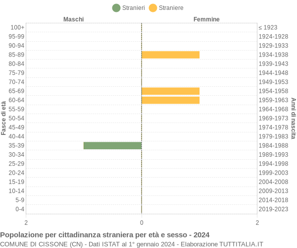 Grafico cittadini stranieri - Cissone 2024