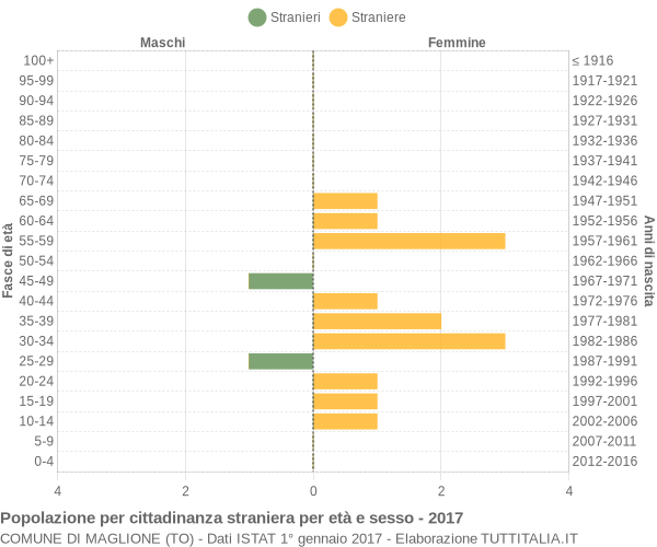 Grafico cittadini stranieri - Maglione 2017