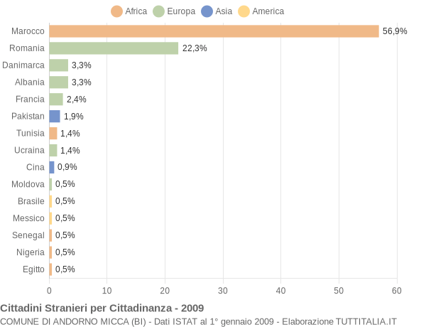 Grafico cittadinanza stranieri - Andorno Micca 2009