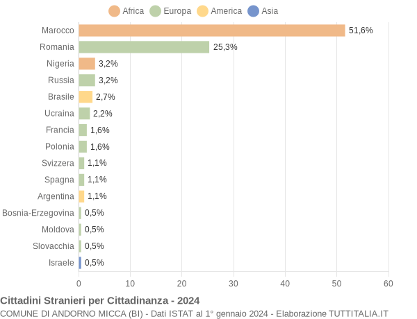 Grafico cittadinanza stranieri - Andorno Micca 2024